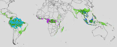 Location of the 1,568 plots, tropical forest regions, and tropical forest biome extent used in the study.
